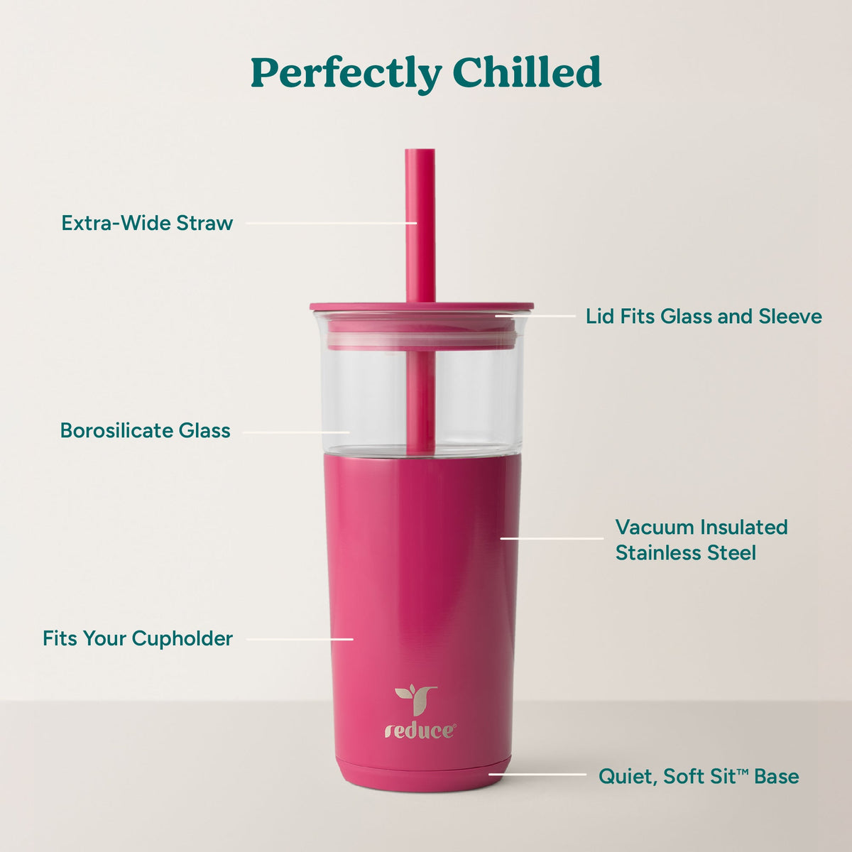 aspen-20-oz-r0 Aspen_Dragonfruit_PDP_Infographic2.jpg