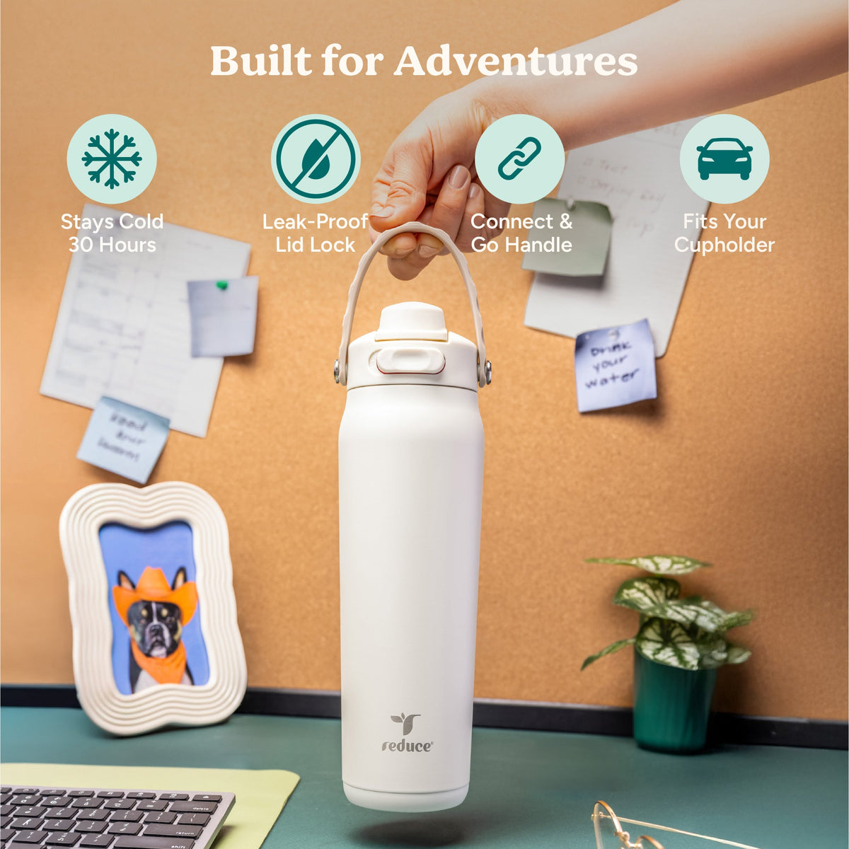 aura-26-oz-p9 Aura_26oz_Unbleached_PDP_Infographic_1.jpg